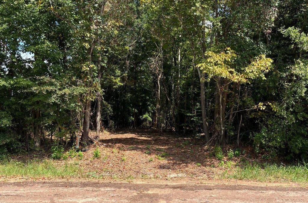 Congratulations Mike Mathews on the close of this Land Sale! Mike represented the Seller during the acquisition of this 9.794 acre Sale in Smith County. Contact Mike Mathews, Land Agent at Landbridge Commercial for your next amazing land deal!