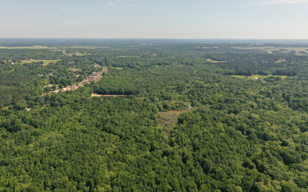 265 Acres Winona TX