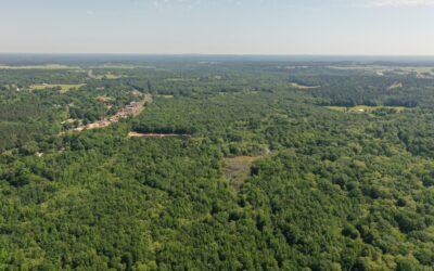 265 Acres Winona TX
